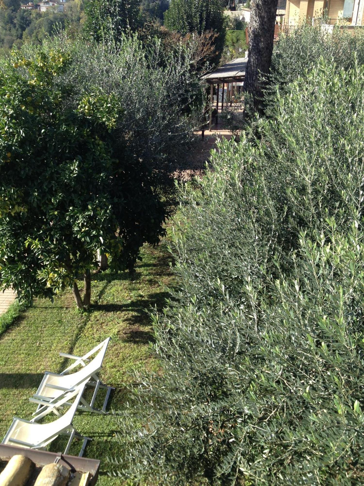 Tempio Di Apollo Hotel Rome