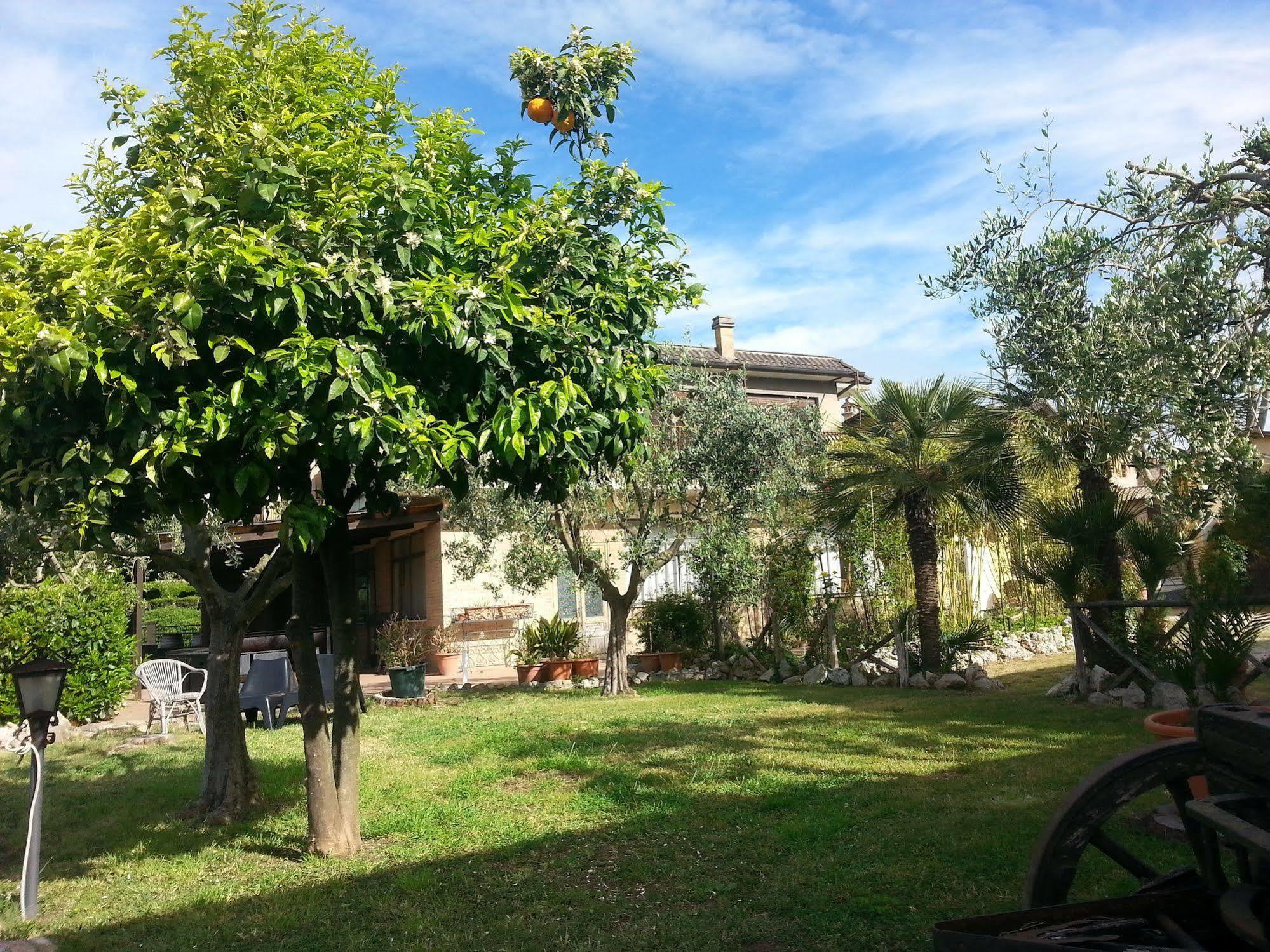 Hotel Tempio Di Apollo Rome